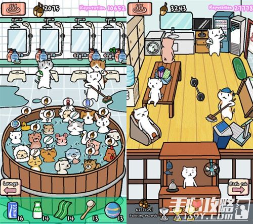 动物温泉