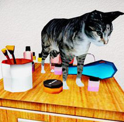 小猫模拟器