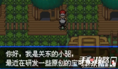 《口袋妖怪究极绿宝石5》全流程图文攻略大全