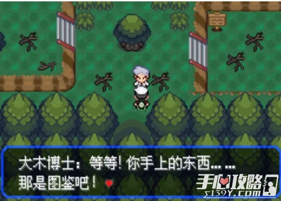 《口袋妖怪究极绿宝石5.3》一周目全流程图文攻略
