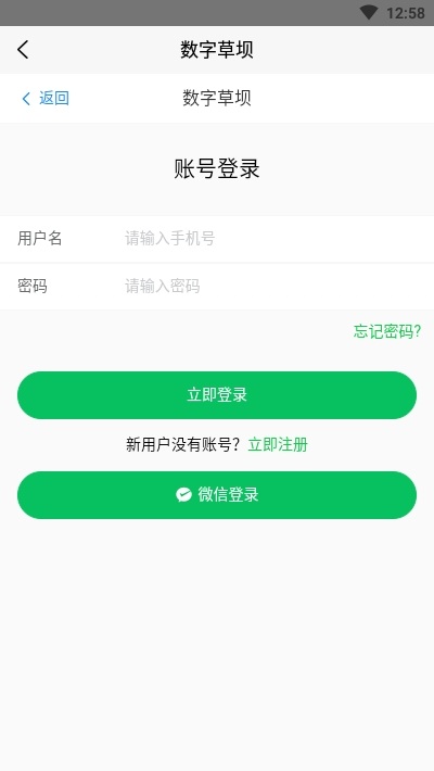 数字草坝