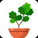 植物日记游戏最新版