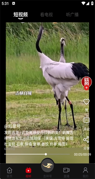 吉林融媒app