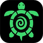 海龟汤官方版