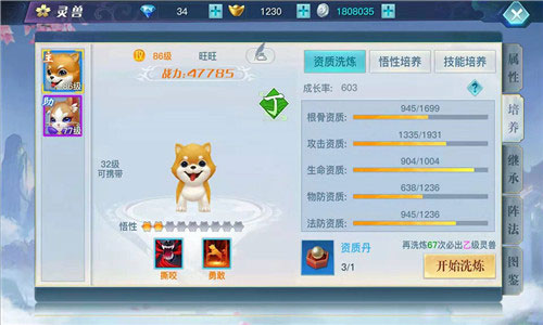 龙武华为客户端