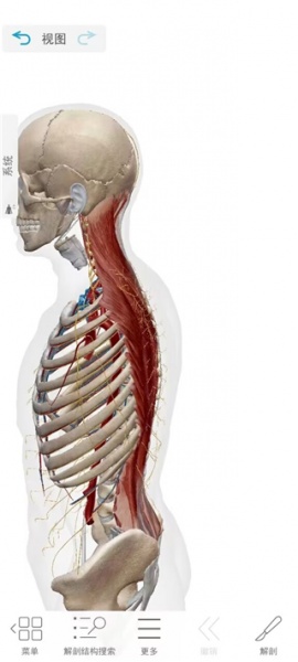 2026人体解剖学图谱app