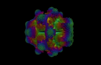毒蘑菇显卡测试网站入口