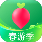 叮咚买菜app