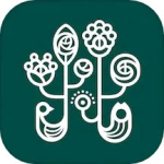 野兽派app