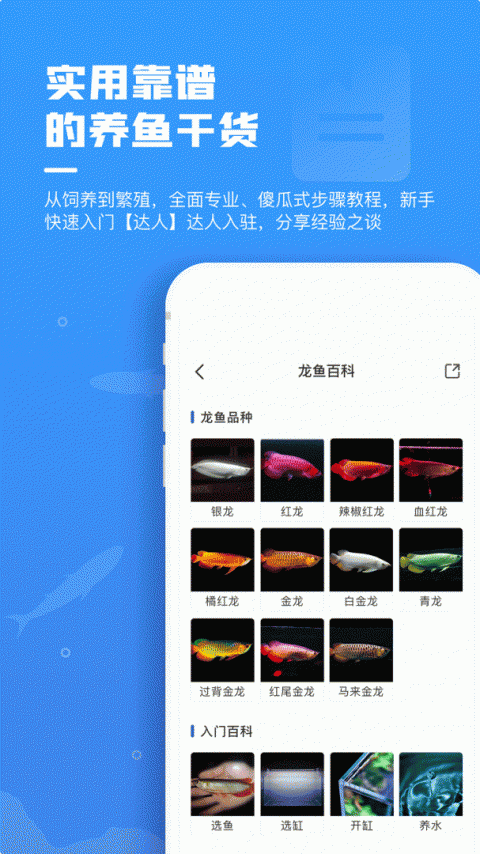 鲲天下官方版