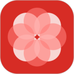 辅布司app