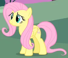友谊的魔法官方版(My Little Pony)