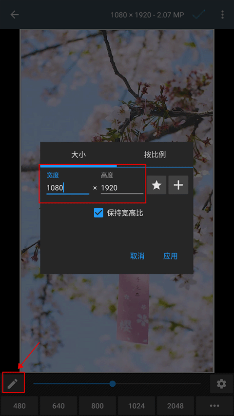 照片编辑器最新版