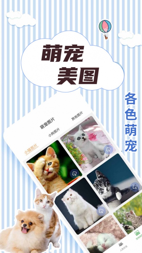 人猫翻译交流器官方版