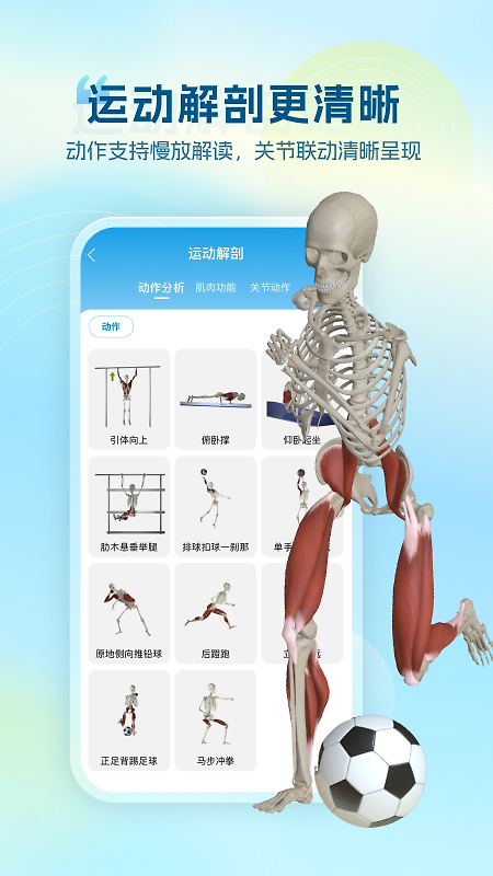 维萨里3d解剖官方版