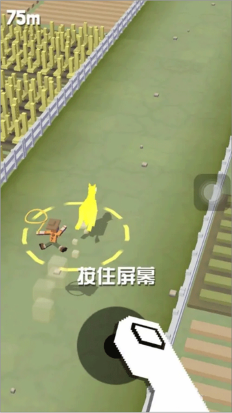 疯狂动物园国际服