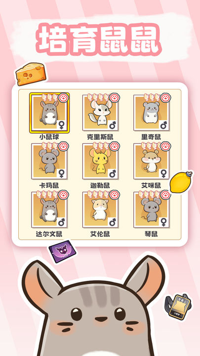 社会我猫哥手机版
