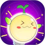 金桔思维app