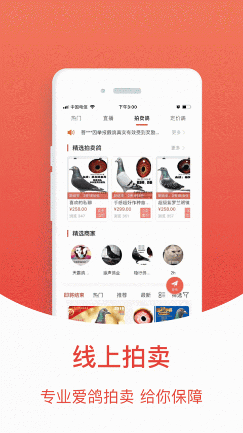 赛鸽头条app