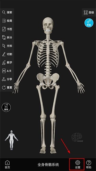 维萨里3d解剖官方版