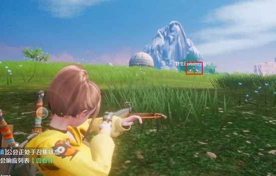 诺亚之心官方版