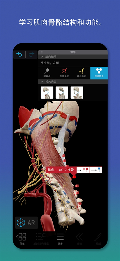 2026人体解剖学图谱app