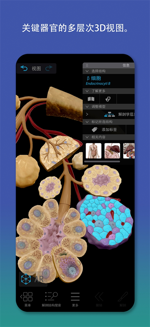 2026人体解剖学图谱app