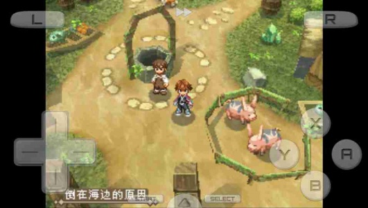 心灵传说(NDS动作)