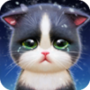 小猫爱消除官方正版