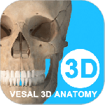 维萨里3d解剖官方版