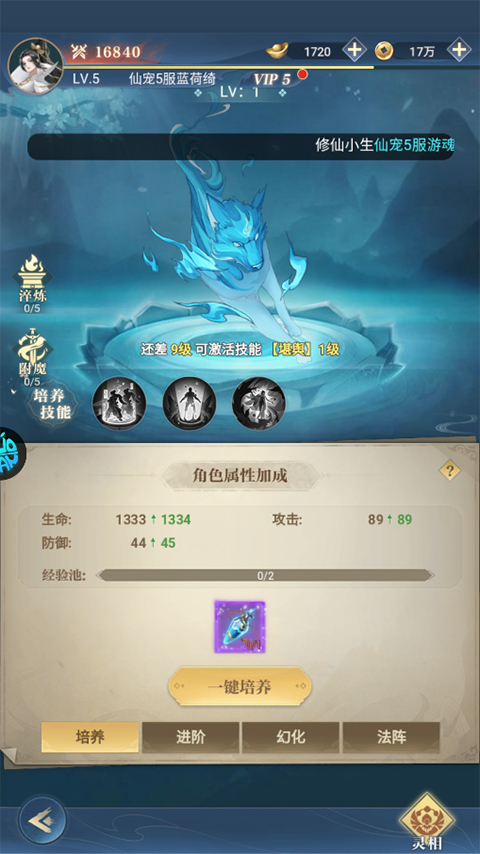 仙宠物语官方正版