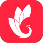 巅峰减重app
