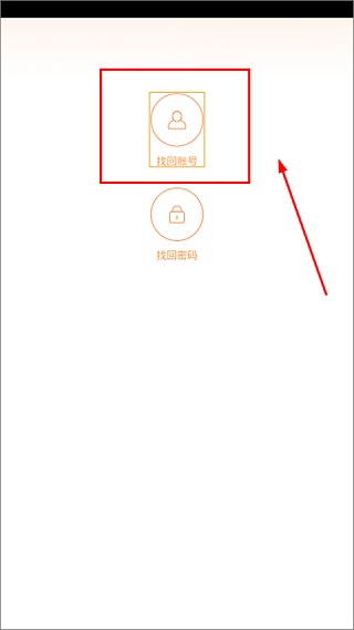 疯狂动物园国际服