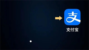 支付宝app