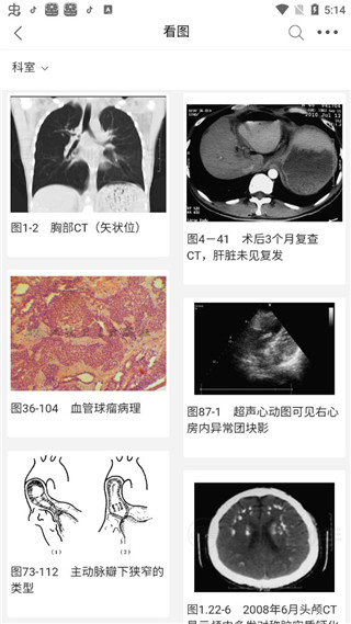 人卫临床助手官方版