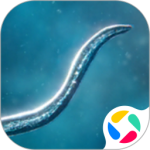 生物进化论官方版