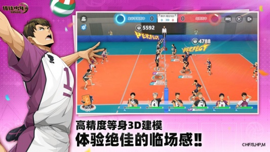 排球少年:新的征程