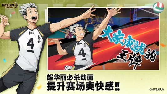 排球少年:新的征程