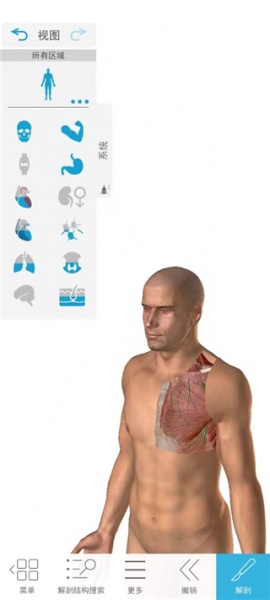 2026人体解剖学图谱app