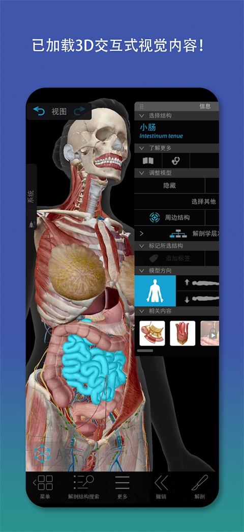 2026人体解剖学图谱app