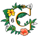 涂色小画家手游