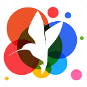 小鸟壁纸app