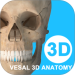 维萨里3d解剖官方版