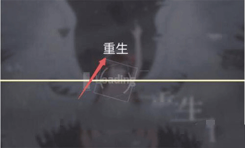 菲格罗斯官方版