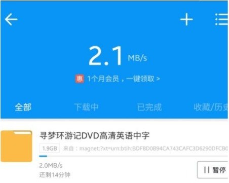 磁力猫app