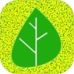 乐图生成器app