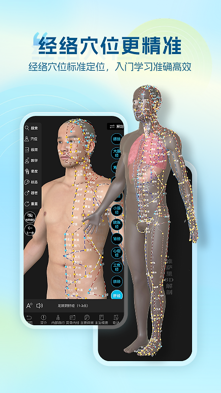 维萨里3d解剖官方版