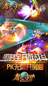 龙之守护果盘版