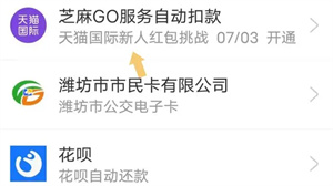 支付宝app
