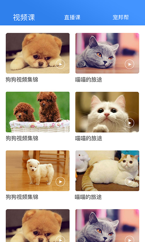 宠帮邦app